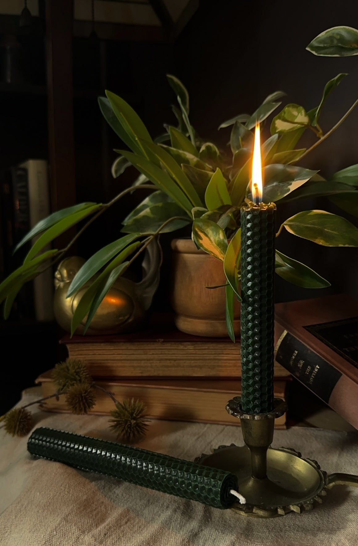 Candle in a decorative holder with plants and books in the background