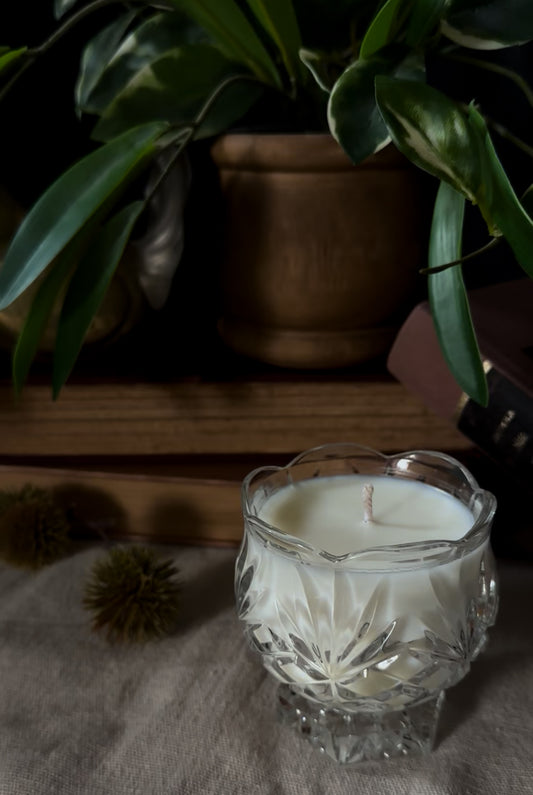 Candle in a decorative glass holder with a plant in the background